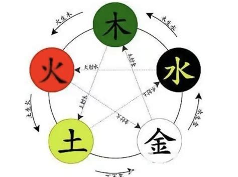 智的五行|智字的五行是什么,智的五行属性及吉利寓意